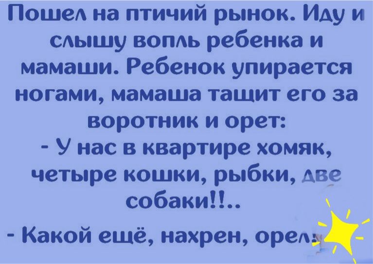 Пошел на птичий рынок Иду и сдышу вопль ребенка и мамаши Ребенок упирается ногами мамаша тащит его за воротник и орет У нас в квартире хомяк четыре кошки рыбки Аве собаки Ч Какои еще нахрен орел