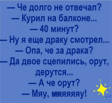 Че долго не отвечал Курил на балконе 40 минут Ну я еще драку смотрел Опа че за драка да двое сцепились орут дерутся А че орут _ Мяу ппяяяяу