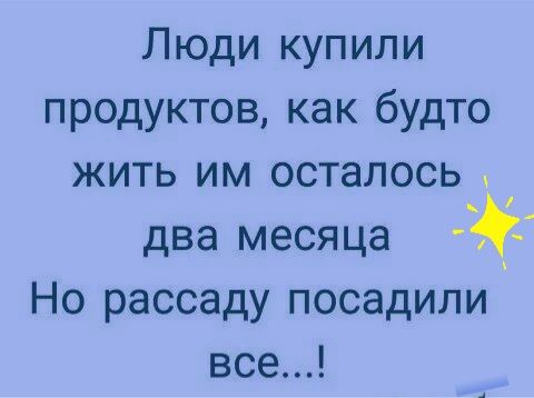 Люди купили продуктов как будто жить им осталось два месяца Но рассаду посадили все