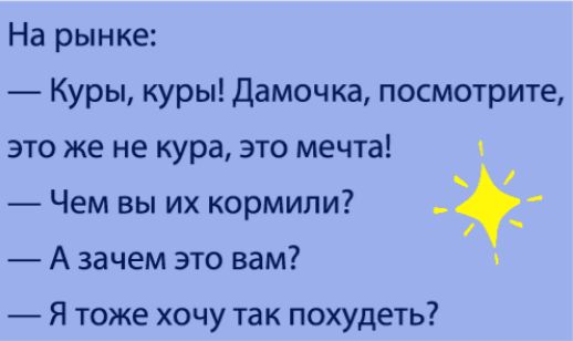 На рынке Куры куры Дамочка посмотрите это же не кура это мечта Чем вы их кормили А зачем это вам Я тоже хочу так похудеть