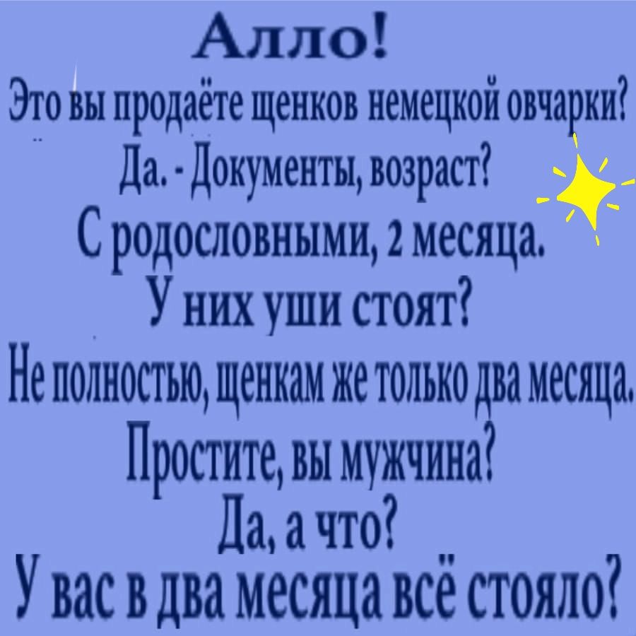 Алло Это вы продаёте щенков немецкой овчарки Да Документы возраст С родословными 2 месяца У них уши стоят Не ПОЛНОСТЬЮ щенкам ЖВ ТОЛЬКО два месяца Простите вы мужчина Па ачто У вас вдва месяца все стояло