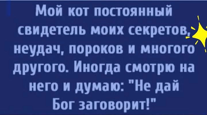 Мой кот постоянный свидетель моих секретовд неудач пороков и многого другого Иногда смотрю на него и думаю Не дай Бог заговорит