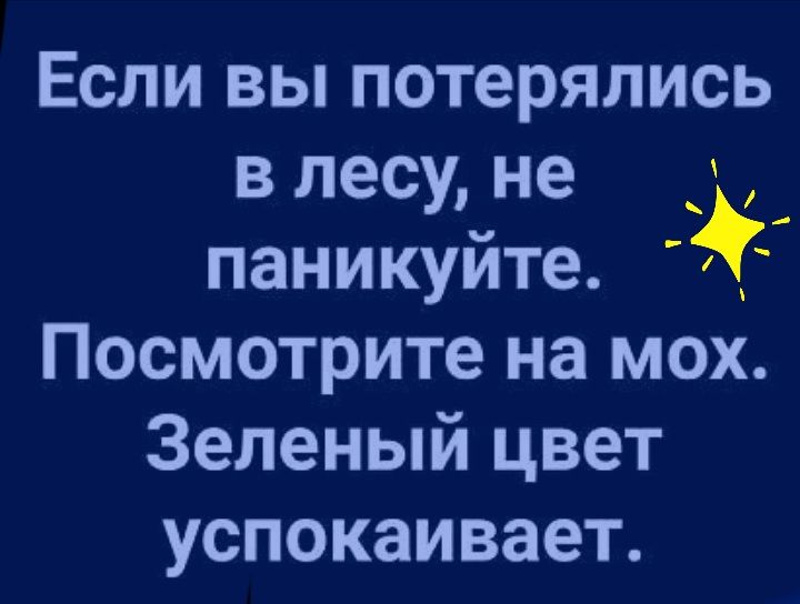 Если вы потерялись в лесу не 3 _ паникуйте Посмотрите на мох Зеленый цвет успокаивает