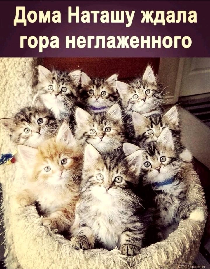 дома Наташу ждала гора неглаженного