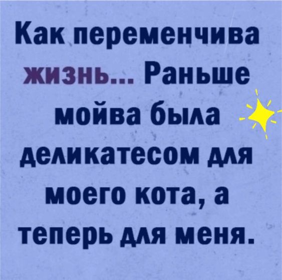 Как переменчива жизнь Раньше мойва была деликатесом мя моего кота а теперь для меня