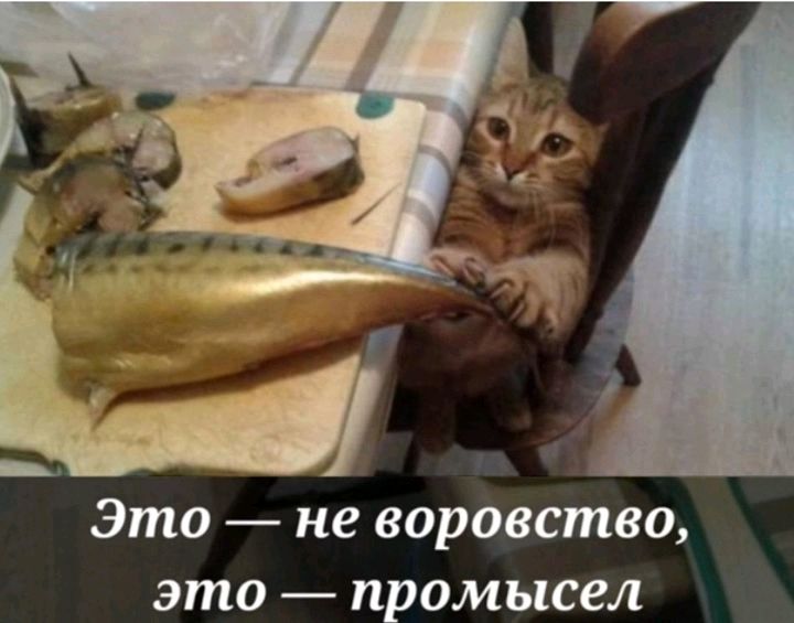 Это не воровство это промысел