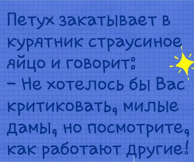 Петух закатывает в курятник страусиноа яйцо и говорит Не хотелось бы Вас критиковать милью дамы но посмотрите как работают другие