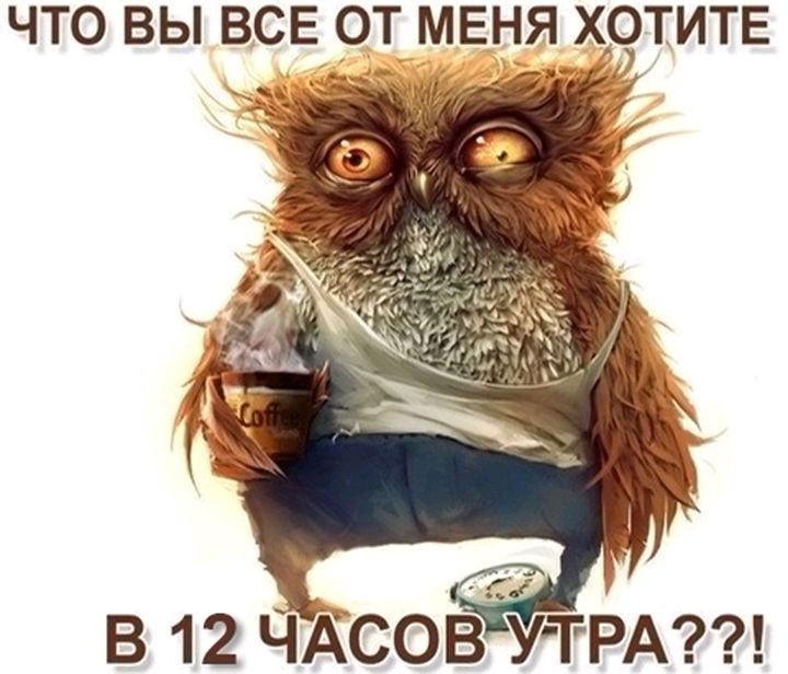 ЧТО ВЫ ВСЕ ОТ МЕНЯ Х_9ТИТЕ в 12 ЧАСОВГУТРА