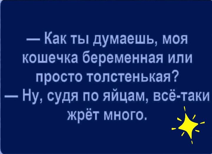 Как ты думаешь моя кошечка беременная или просто толстенькая Ну судя по яйцам всё таки жрёт много _