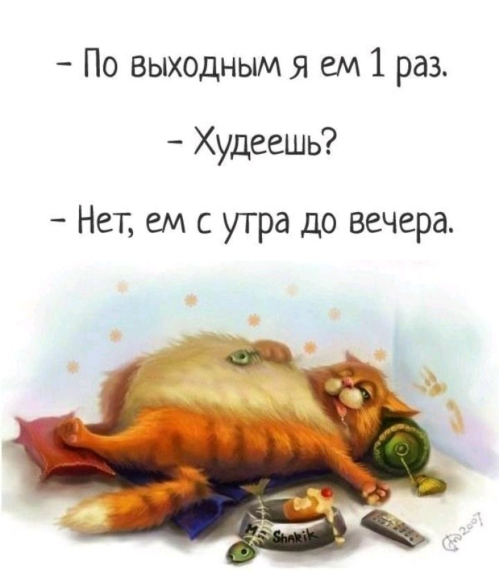 По выходным я см 1 раз Худеешь Нет ем с утра до вечера