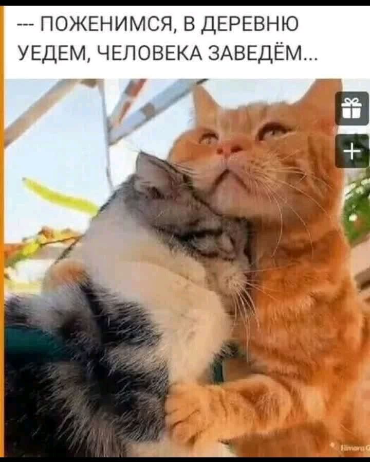 ПОЖЕНИМСЯ В ДЕРЕВНЮ УЕДЕМ ЧЕЛОВЕКА ЗАВЕДЁМ
