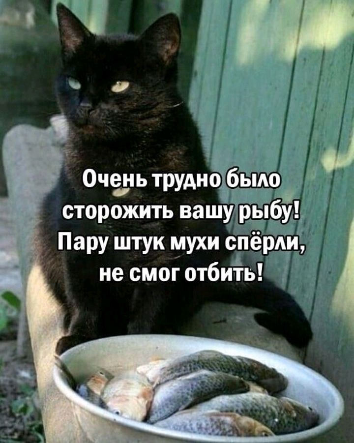 Пару штук мухи сперли не смог отбиЁь