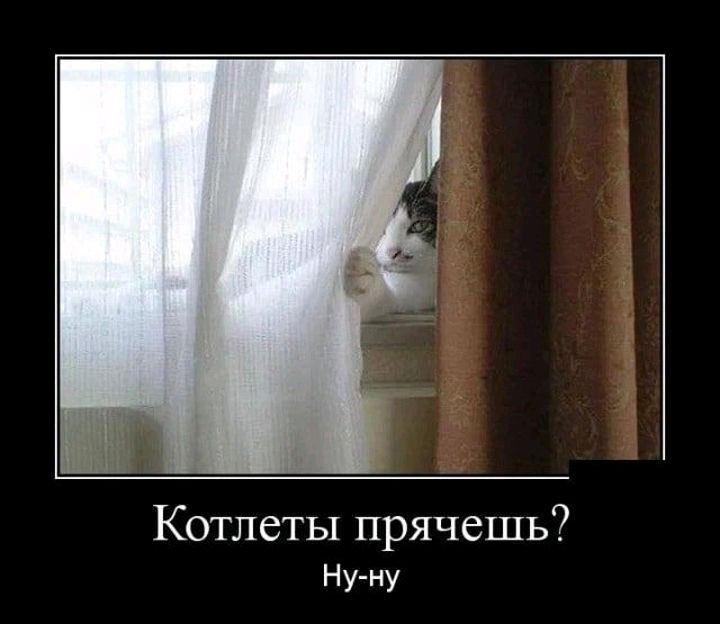 Котлеты прячешь Ну ну