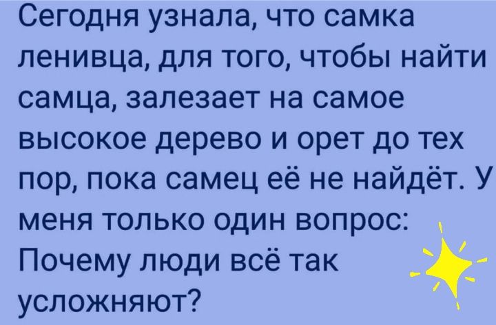 Сегодня узнала что самка ленивца для того чтобы найти самца залезает на самое высокое дерево и орет до тех пор пока самец её не найдёт У меня только один вопрос _ Почему люди всё так усложняют