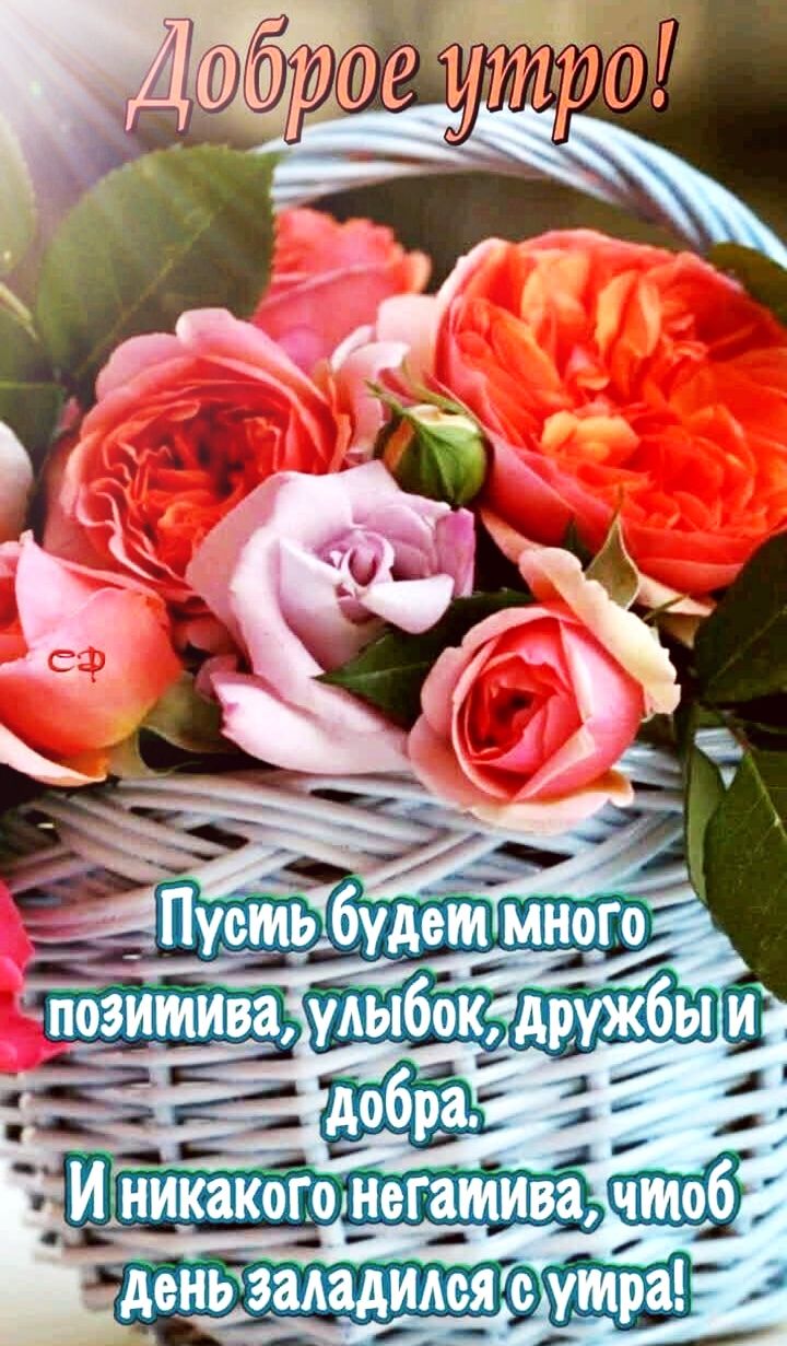 _И никакогоднегатива деНЬЗаАаОЯс утра