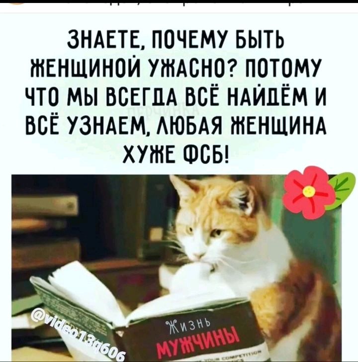 ЗНАЕТЕ ПОЧЕМУ БЫТЬ ЖЕНЩИНОЙ УЖАСНО ПОТОМУ ЧТО МЫ ВОЕГПА ВСЁ НАЙПЁМ И ВСЁ УЗНАЕМ АЮБАЯ ЖЕНЩИНА ХУЖЕ ФОБ