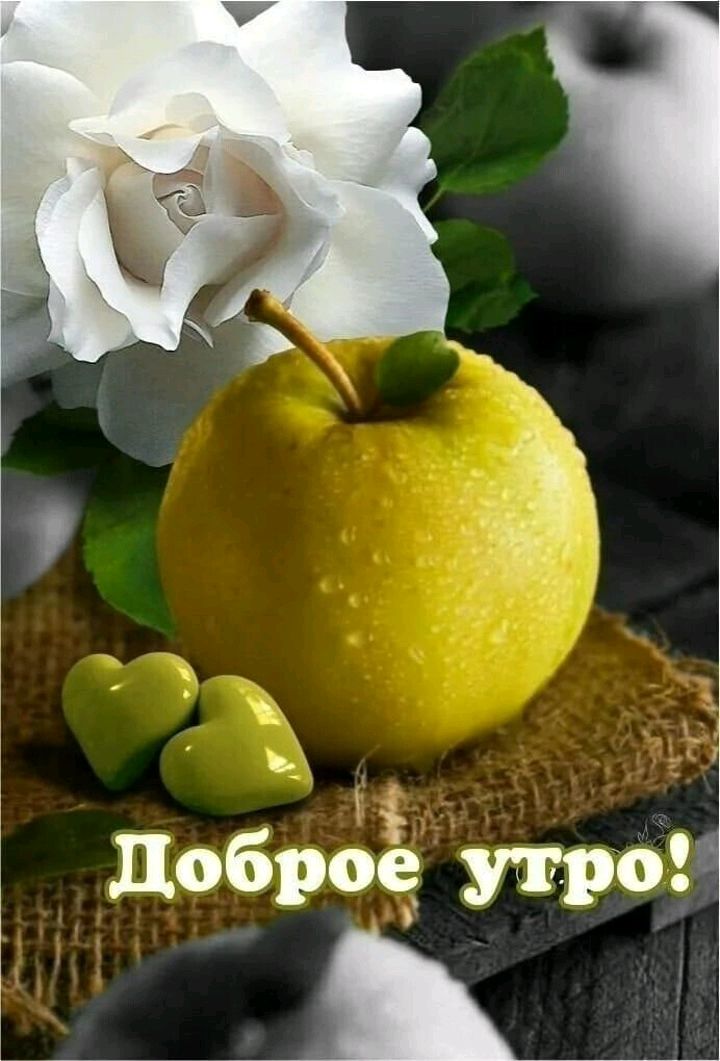 добрбё 08
