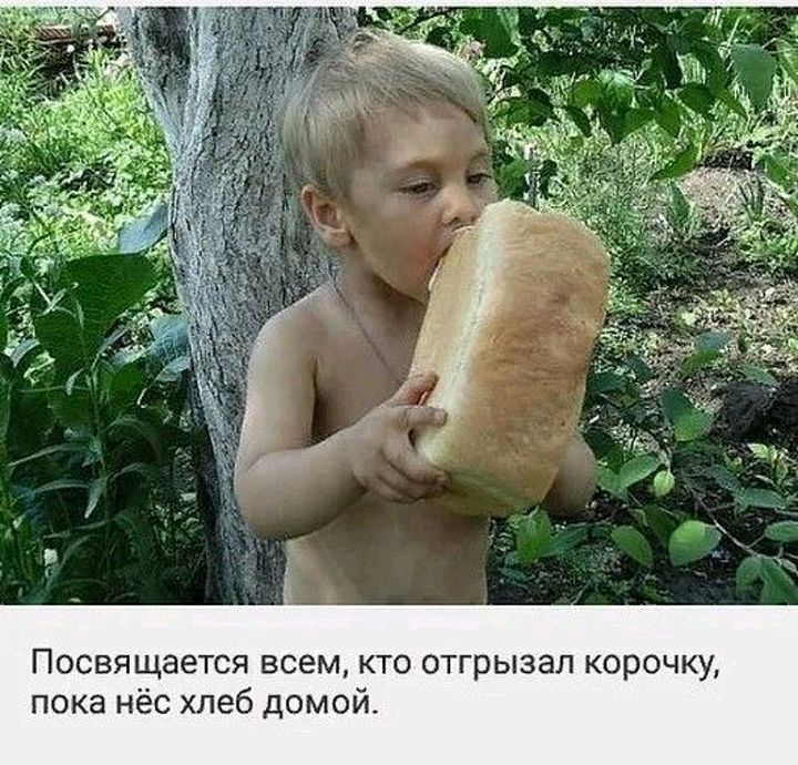 Посвящается всем кто отгрызал корочку пока нёс хлеб домой
