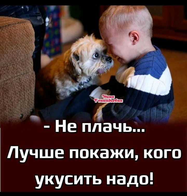 Не плачь Лучше покажи кого укусить надо
