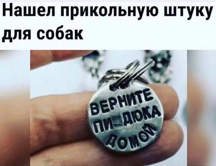 Нашел прикольную штуку для собак