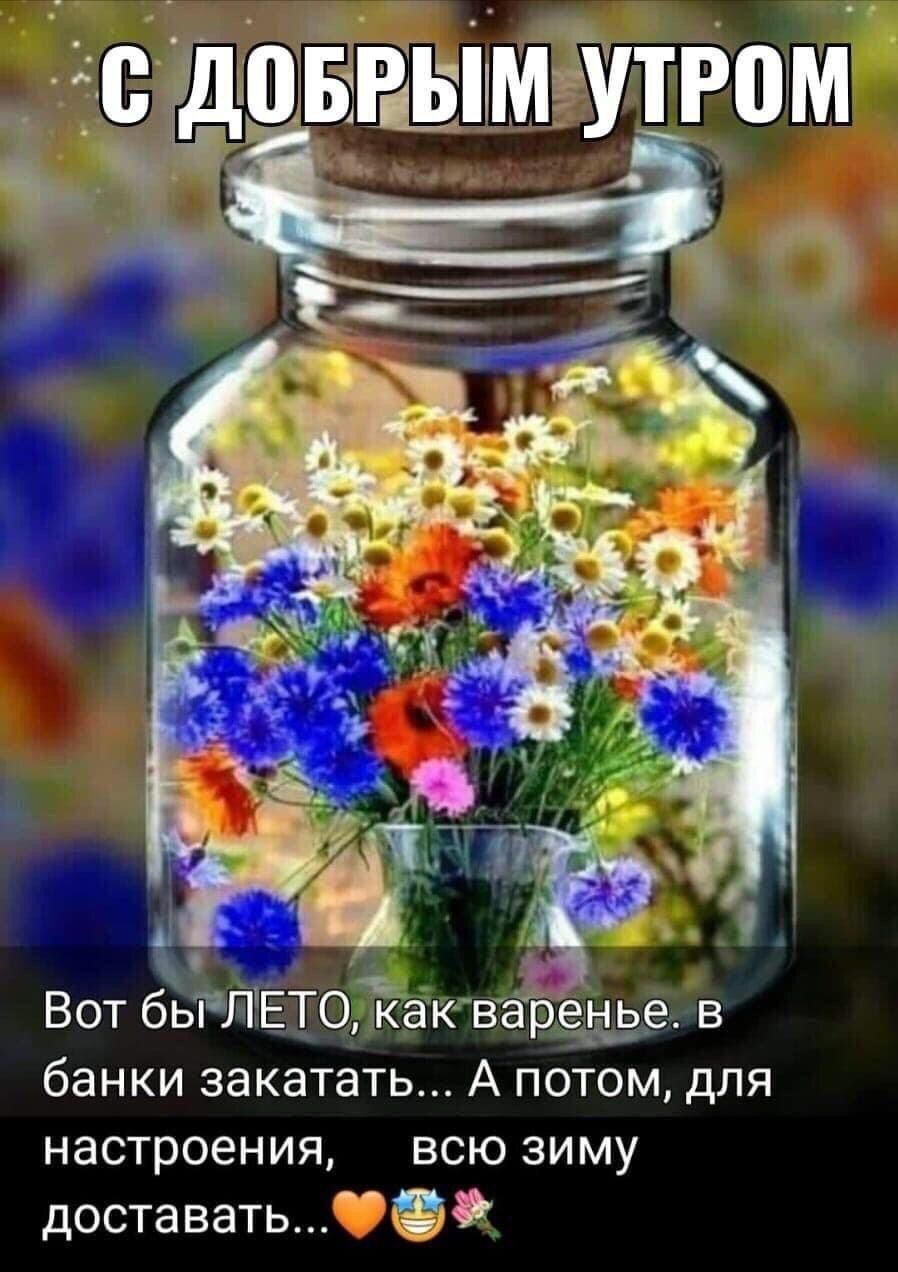 дсгдовнвіімёутгтм Ёж Вот бы ЛЕТО как каранз ье в банки закатать А потом для настроения всю зиму доставатьЕёФ