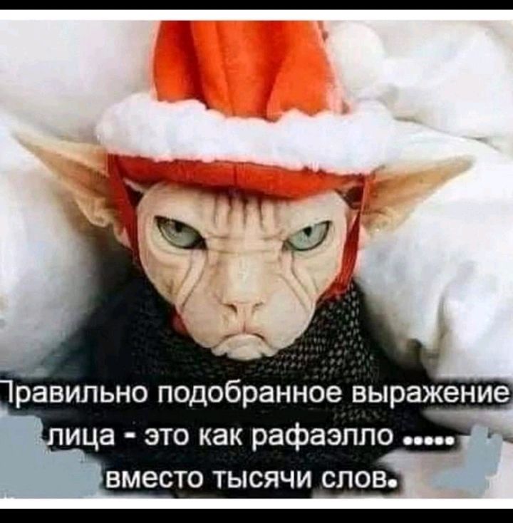 БМеСТО ТЫСЯЧИ СЛОВ