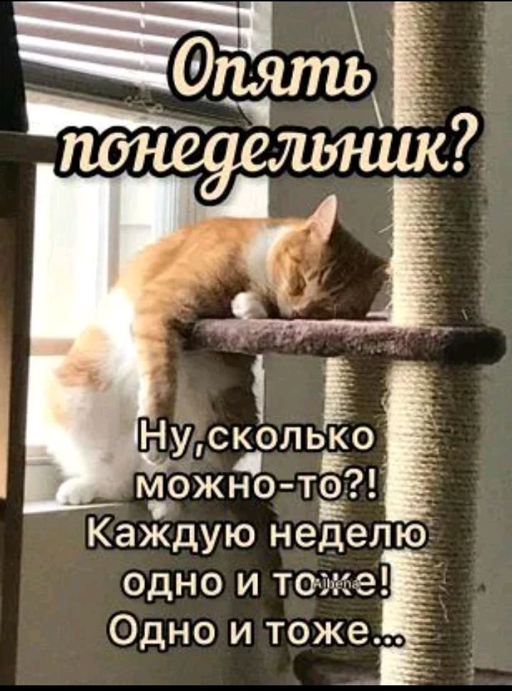 НУскольЁю __ щожно ТЁ Каждую неделю одно и тоже Одно и тоже