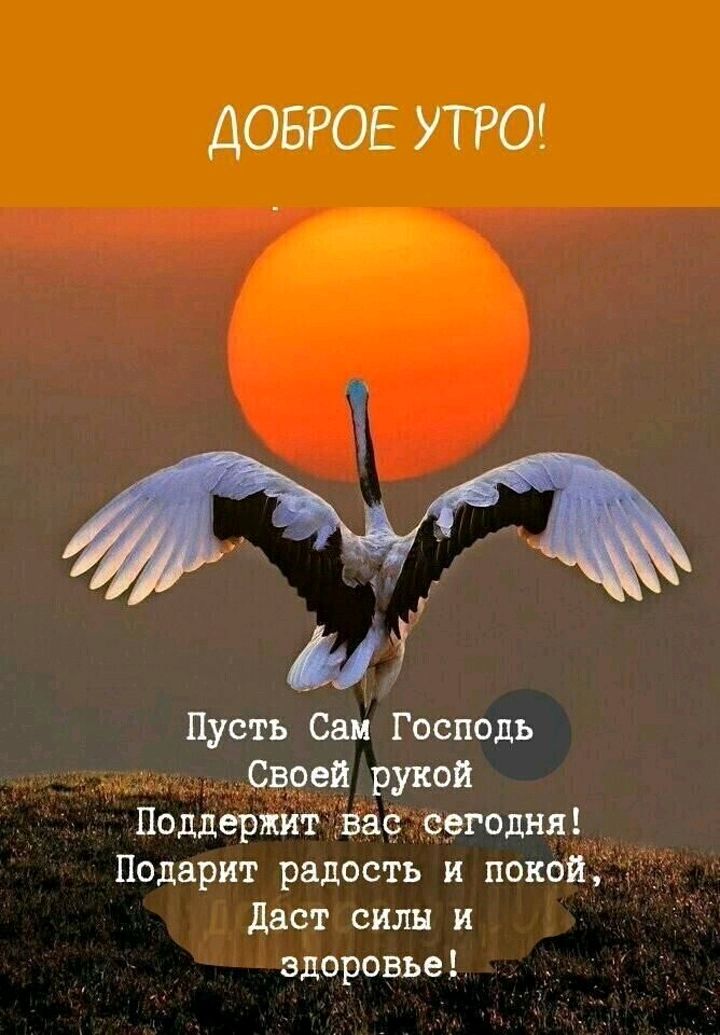 ДОБРОЕ УТРО 3 Пусть Саи Господь Своей рукой Поддержит вас сегодня Подарит радость и покой даст силы и здоровье