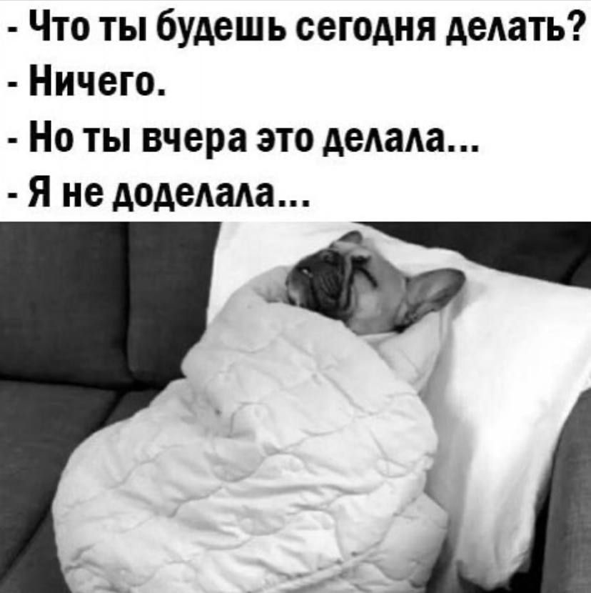 Что ты будешь сегодня Аедать Ничего Но ты вчера это дети Я не Аодедаи