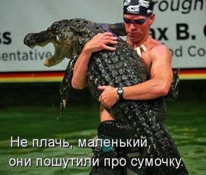 Не плащ мадеуькийг он и пошти про сумочку