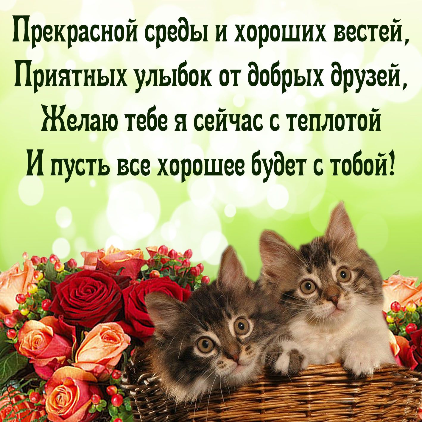 Прекрасной среды и хороших вестей Приятных улыбок от добрых друзей Желаю тебе я сейчас с теплотой И пусть все хорошее будет с тобой