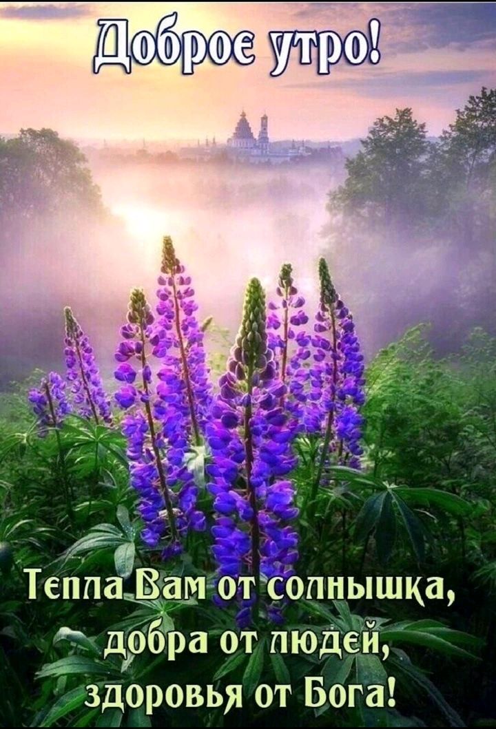 ТеппаВам от опнышка добра от людей здоровья от Бога