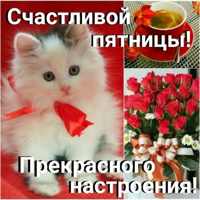 1213 413 Н 906