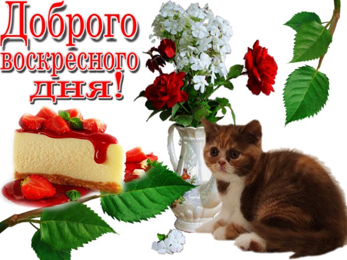 Г Г Г ДАЁШЬ ышшь ши