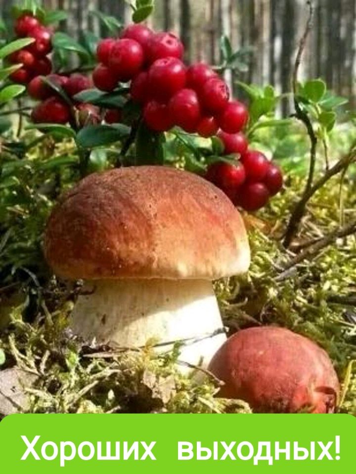 дім Хороших выходных