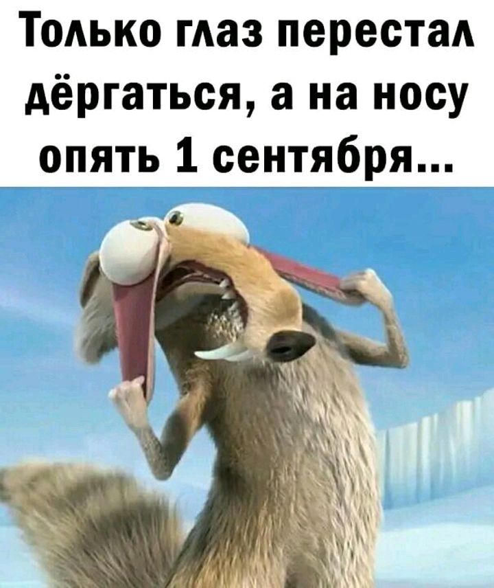 Тодько маз перестаА дёргаться а на носу опять 1 сен_тя6ря