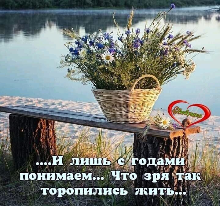 пониже 119 эр торопились жи