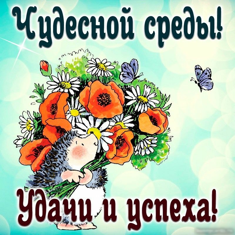 ЕСцдесЁБй сдеды ц ё Ндачцди 919