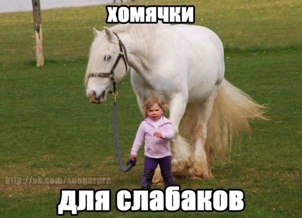 А