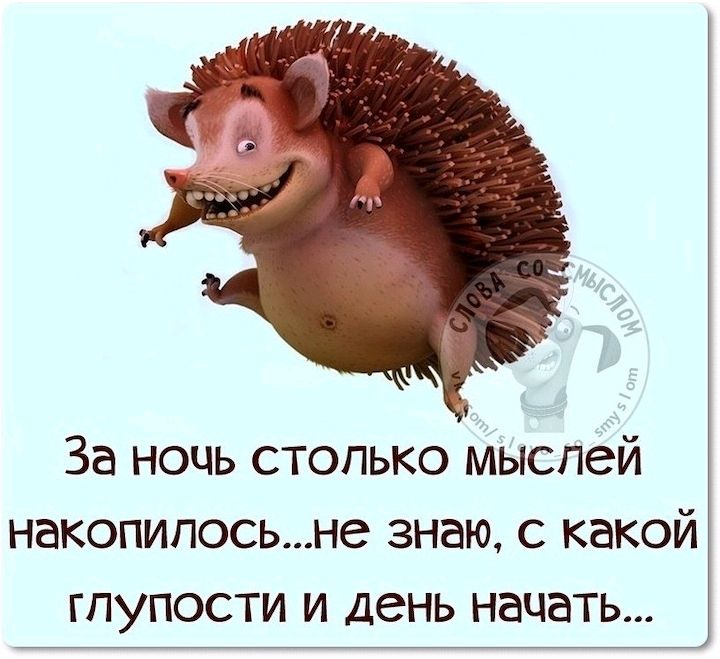 За ночь столько мыслей накопилосьне знаю с какой гпупости и день начать