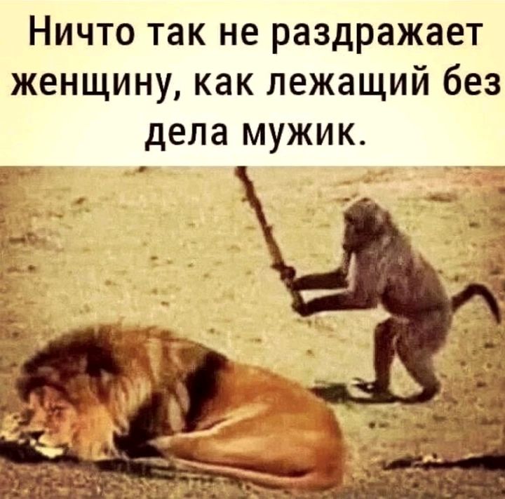 Ничто так не раздражает женщину как лежащий без дела мужик