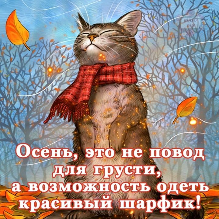 ВОЗМОЖНРСТЬ од еть красивых шарфи