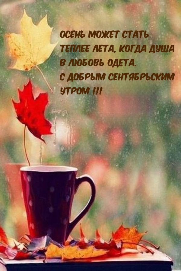 д шпинатапд _тмтдкогм 5 За 8 ЛЮБОВЬ одет СМБРЬМ ШР _ 1 79115 х ае