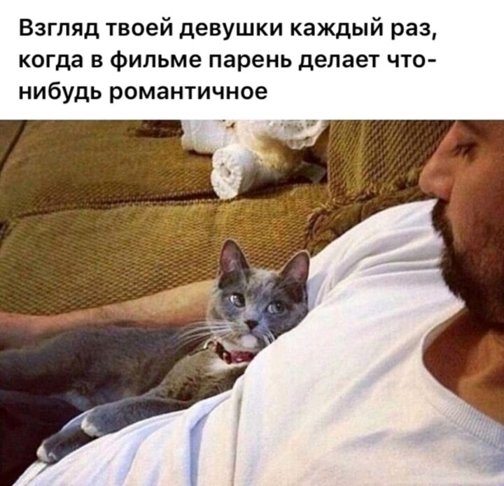 Взгляд твоей девушки каждый раз когда в Фильме парень делает что нибудь романтичное