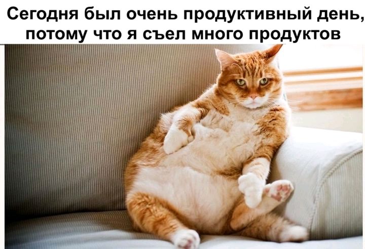 Сегодня был очень продуктивный день потому что я съел много продуктов