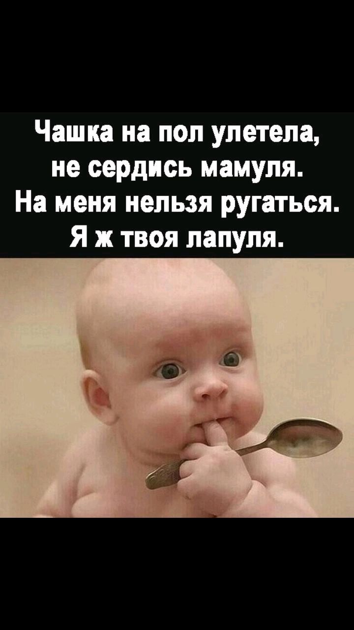 Чашка на пол улетела не сердись мамупя На меня нельзя ругаться Я твоя папуля