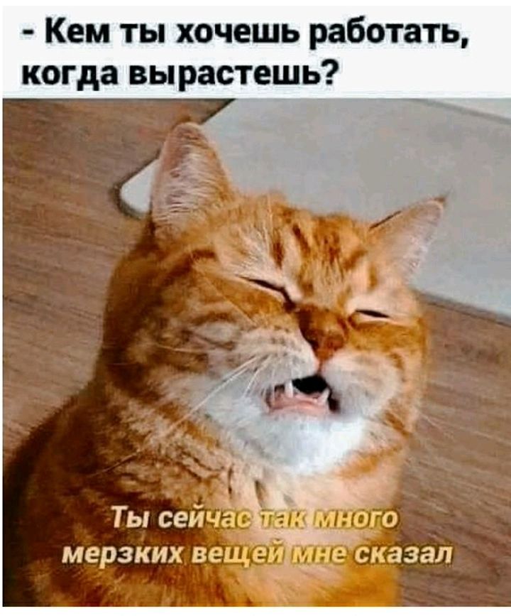 Кем ты хочешь работать когда вы растешь МЕРЗКИХ ВС _ СЗЗЭЛ д