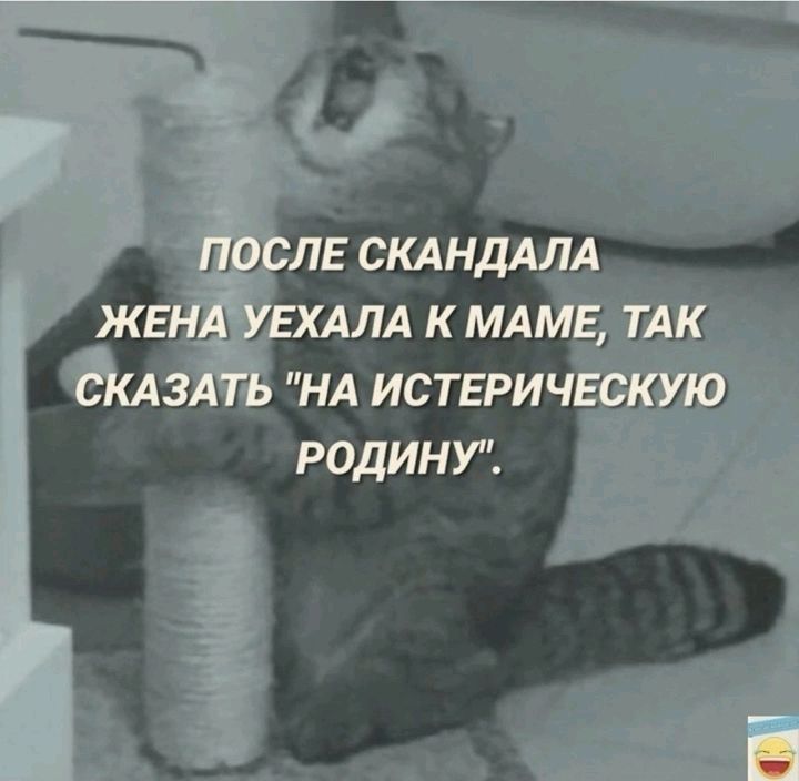 РОДИНУ