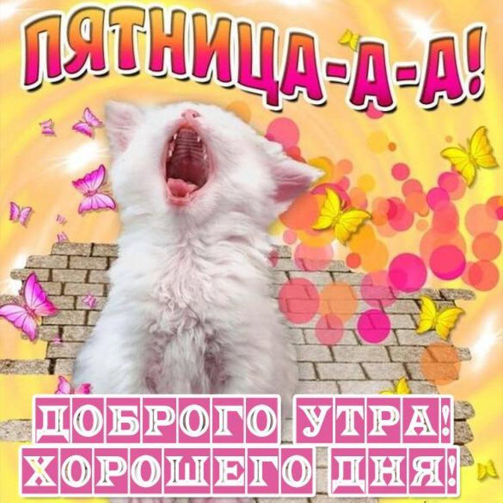 тептт папина тгтшт Ешка