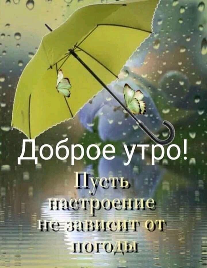 эаВи ОИ о ПОГОДЫ